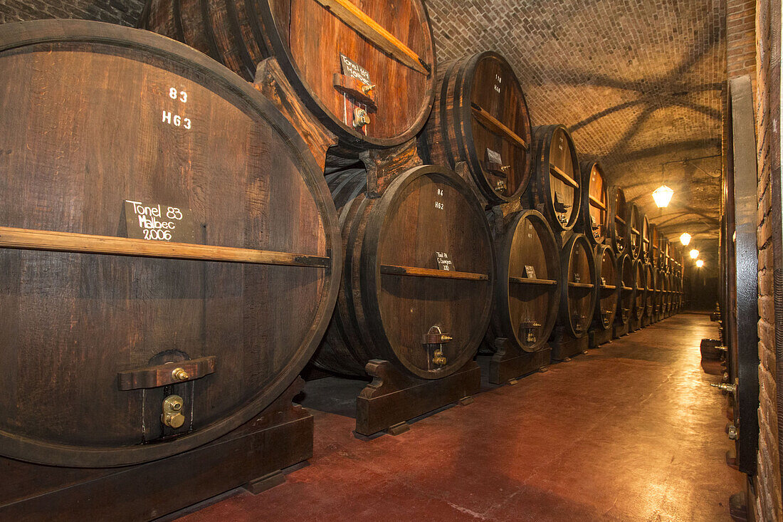 Große Eichenweinfass in Bodega, Mendoza, Argentinien. Weinmuseum