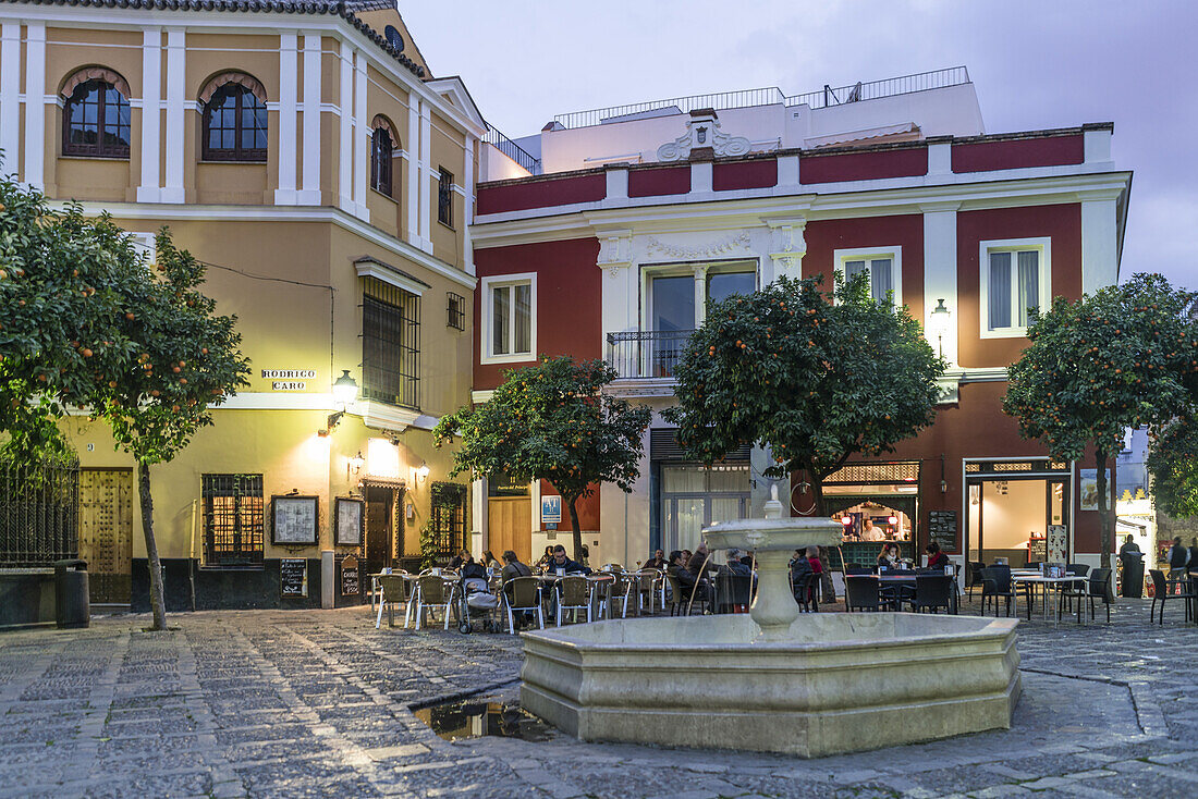 Plaza de Alianzabarrio Santa Cruz, Seville, Andalucia, Spain