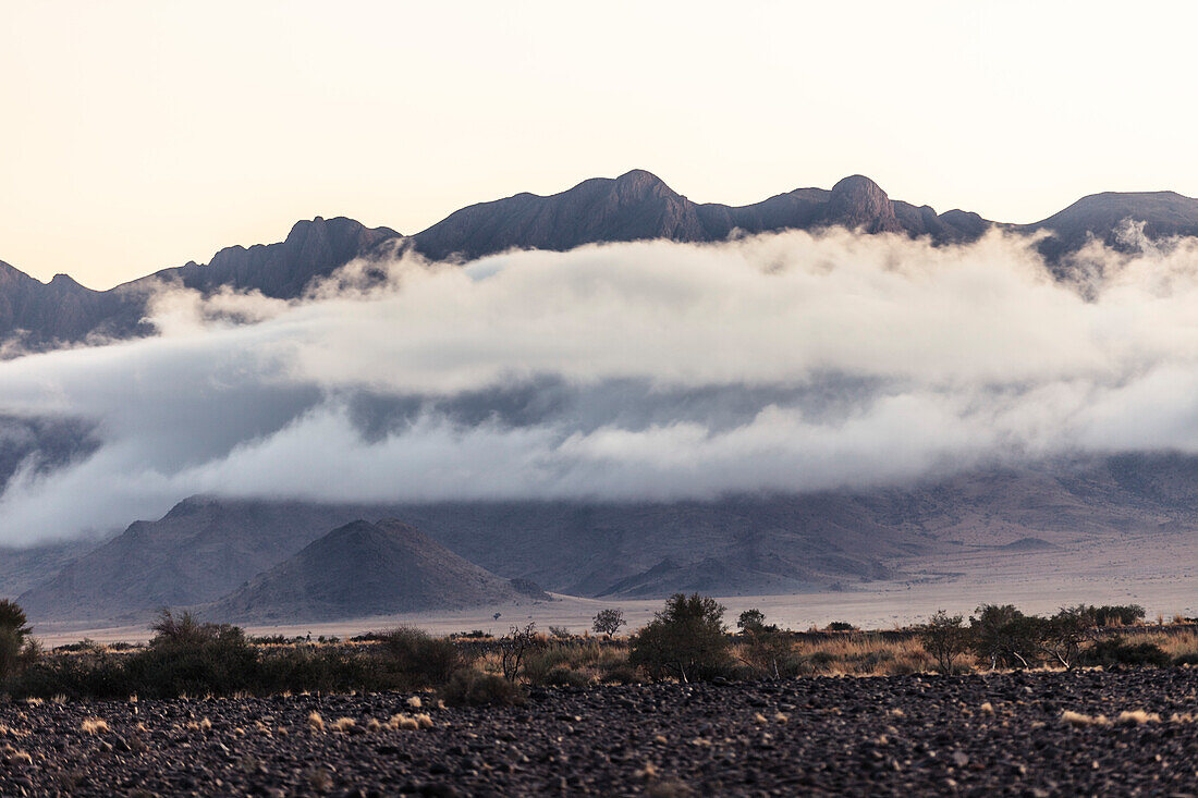 Bodennebel steigt morgens aus den Hängen der Naukluft-Berge, Hardap, Namibia, Afrika