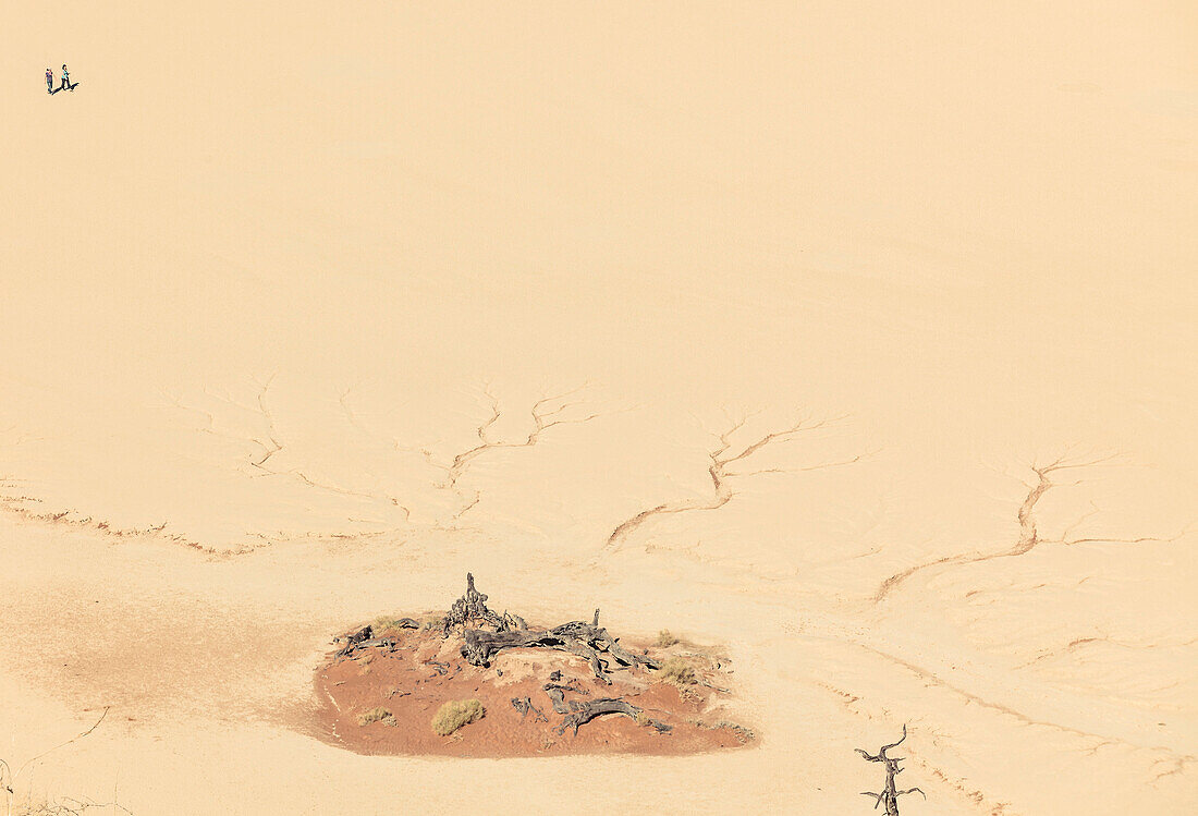 Abgestorbenen Akazien in der Tonpfanne des Deadvlei, Sossusvlei, Namib Naukluft Nationalpark, Hardap, Namibia, Afrika