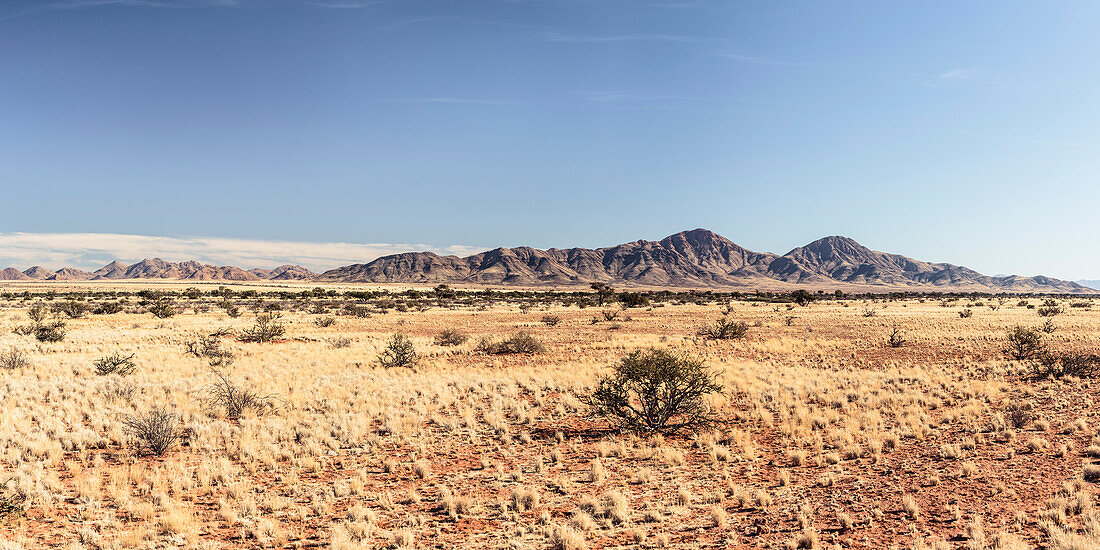 Sossusvlei, Namib Naukluft National Park, Hardap, Namibia, Afrika