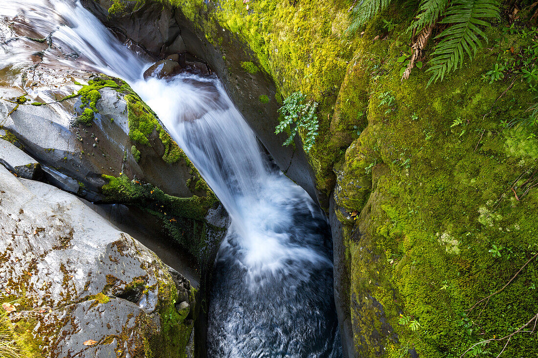 Waterfall, mossy canyon, clean green, nobody, South Island, New Zealand