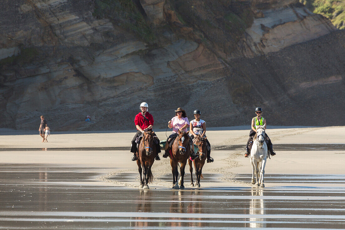 Cape Farewell, Reittour, Ausflug zu Pferde, Reiten am Strand, Tour, Whaririki Beach, Dünen, Sand, Strand, Küste, Wild, South Island, Neuseeland