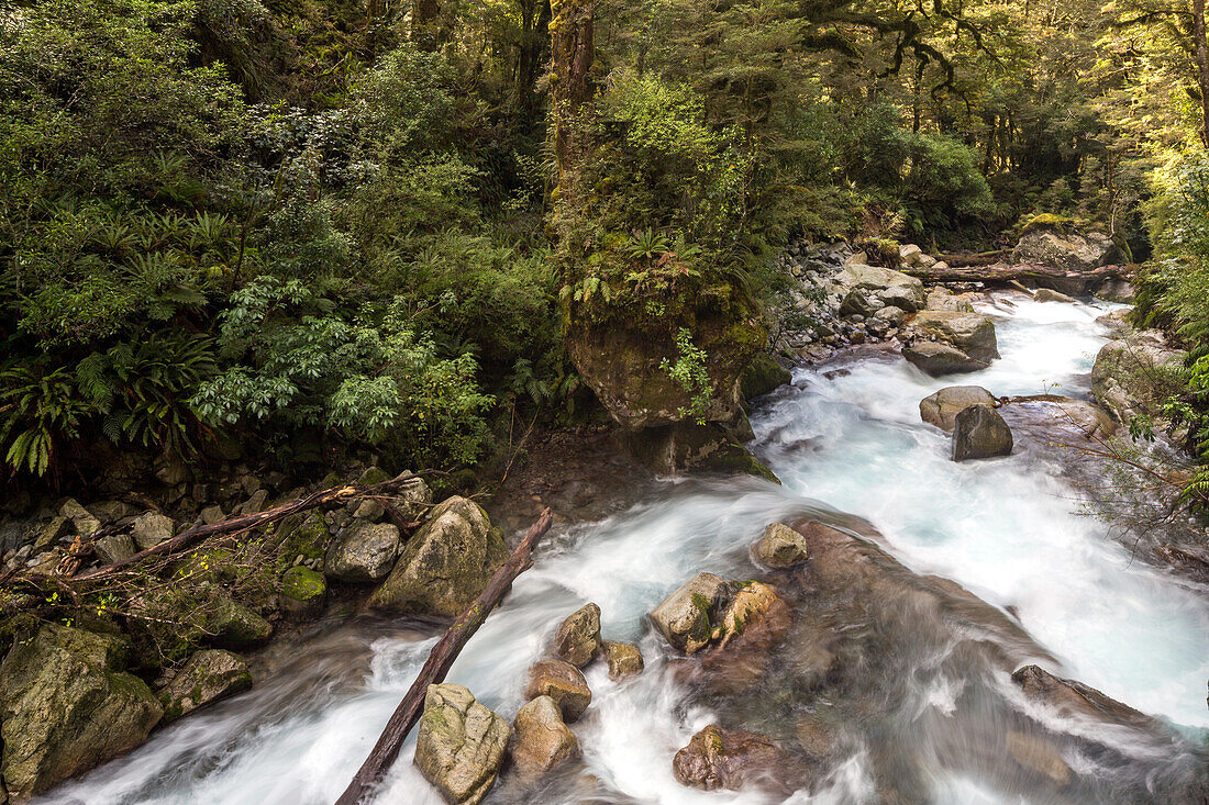 waterfall, cascade, Lake Marian Track, nobody, Fiordland, South Island, New Zealand