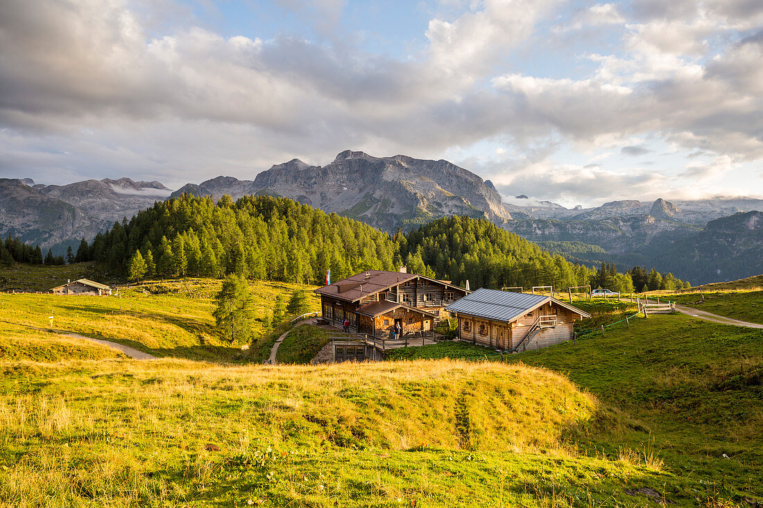 Gotzenalm, Berchtesgadener Land, Bavaria, Germany, Europe