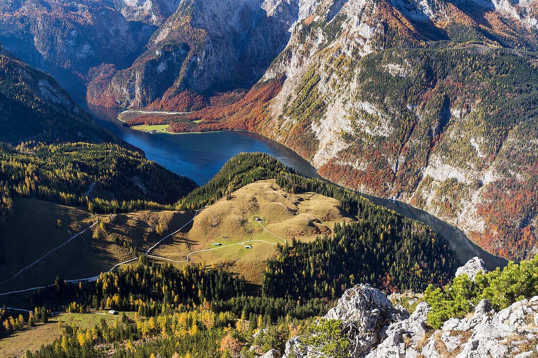 Königssee und St. Bartholomä, Blick vom Jenner, Berchtesgadener Land, Bayern, Deutschland, Europa