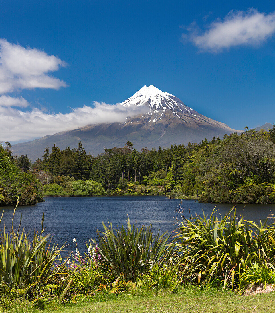 Taranaki, Egmont, Egmont-National Park, North Island, New Zealand, Oceania