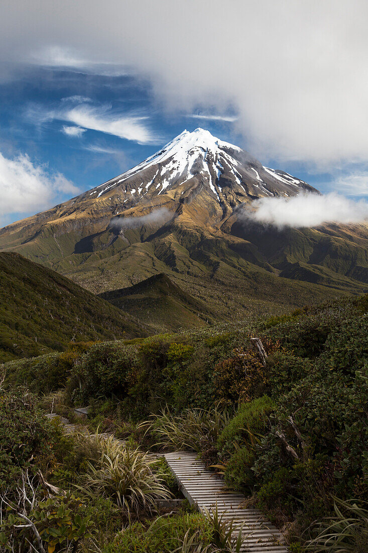 Taranaki, Egmont, Egmont-National Park, North Island, New Zealand, Oceania