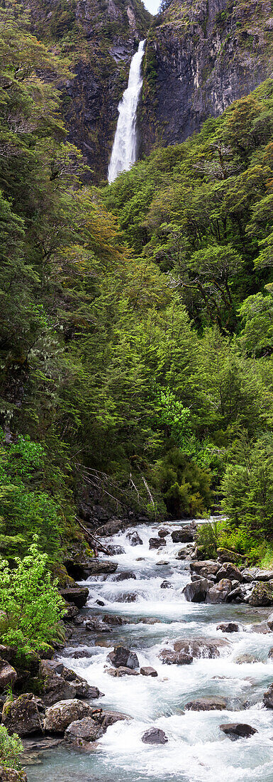 Arthur's Pass, Selwyn, Canterbury, Südinsel, Neuseeland, Ozeanien