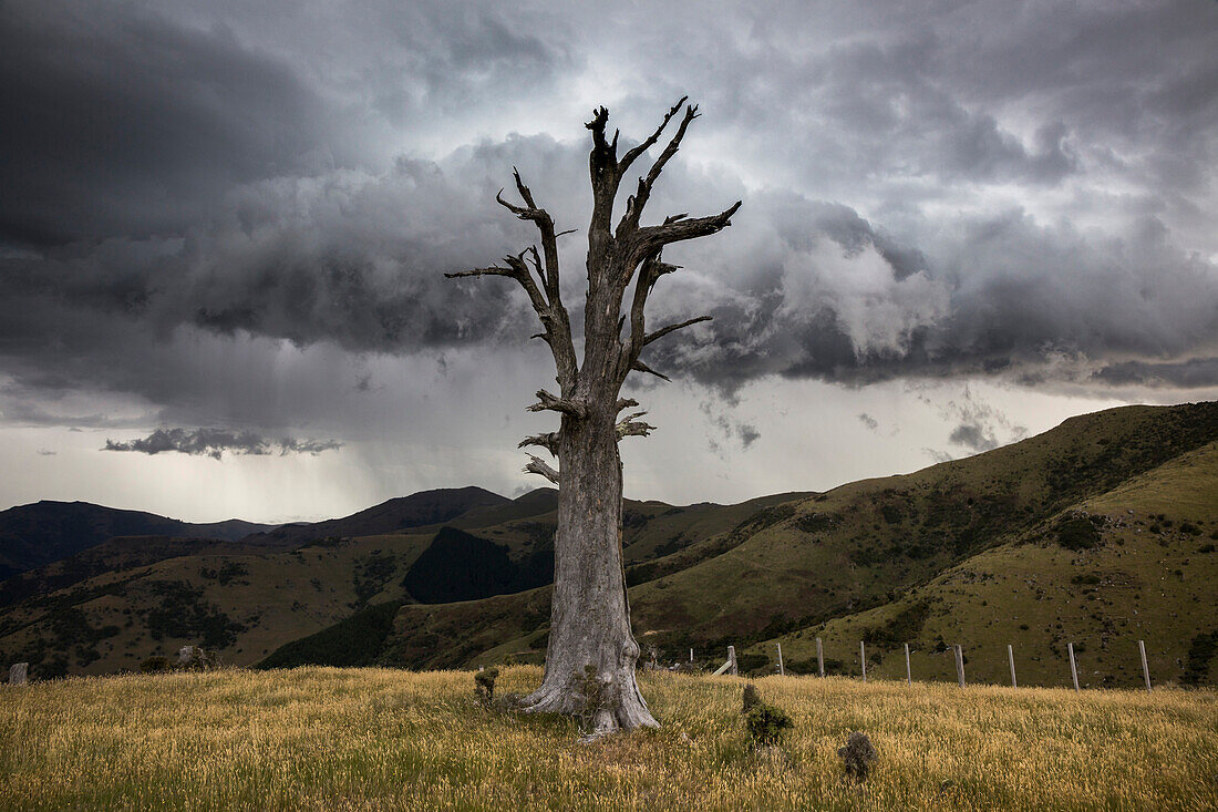 Banks Peninsula, Canterbury, Südinsel, Neuseeland, Ozeanien