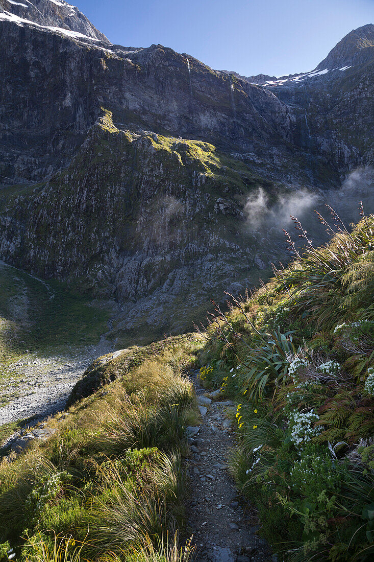 Milford Track, Great Walk, Fjordland National Park, Milford Sound, Southland, Südinsel, Neuseeland, Ozeanien