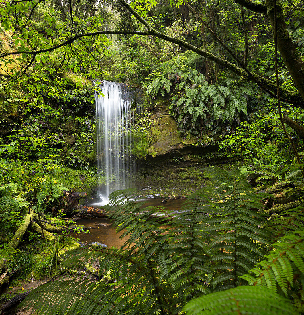Purakaunui Falls, Wasserfall in Catlins, Clutha, Otago, Southland, Südinsel, Neuseeland, Ozeanien