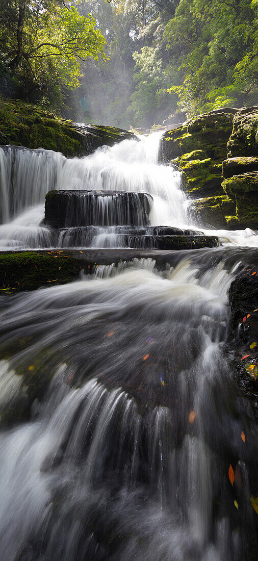 Purakaunui Falls, Wasserfall in Catlins, Clutha, Otago, Southland, Südinsel, Neuseeland, Ozeanien