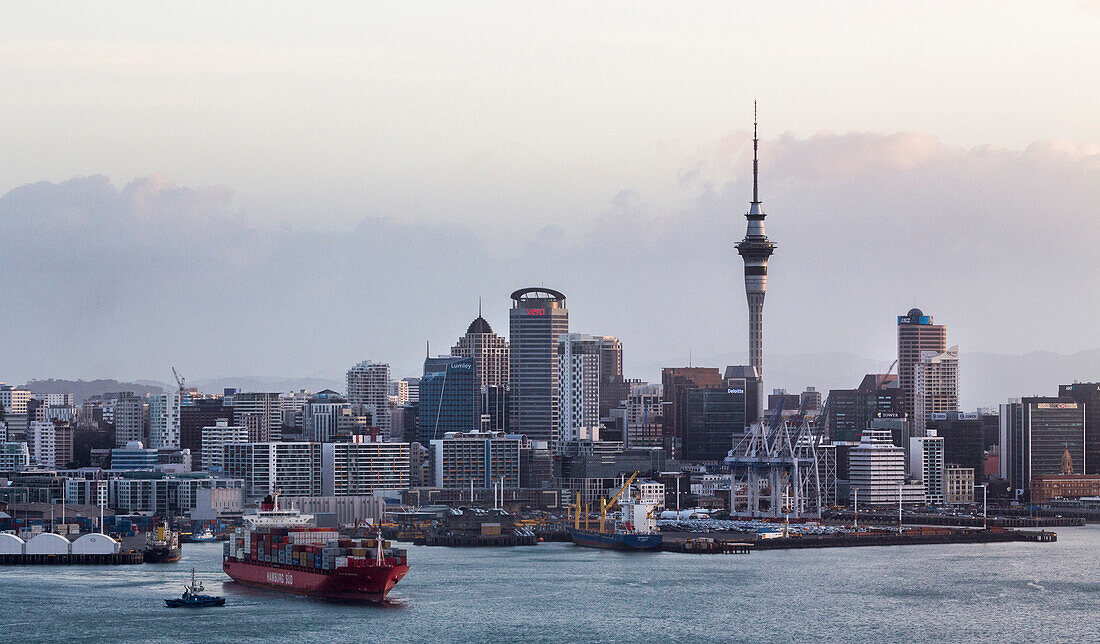 Skyline with Skytower, Auckland, North Island, New Zealand, Oceania