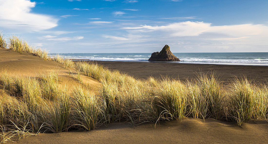 Karekare beach, Waitakere Ranges Regional Park, Auckland, North Island, New Zealand, Oceania