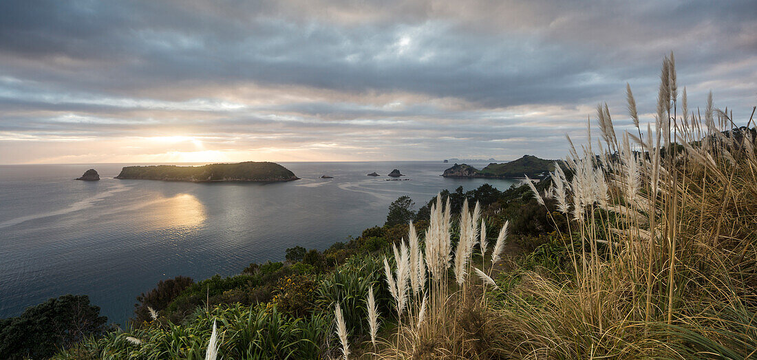 Coastal landscape at dusk, Hahei, Whitianga, Thames-Coromandel District, Coromandel Peninsula, North Island, New Zealand, Oceania