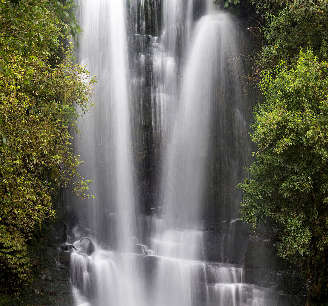 Waterfalls, Waikato, North Island, New Zealand, Oceania