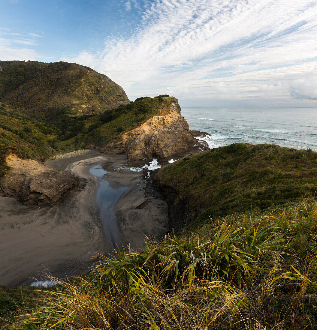 Piha beach, Waitakere Ranges Regional Park, Auckland, Tasman Sea, North Island, New Zealand, Oceania