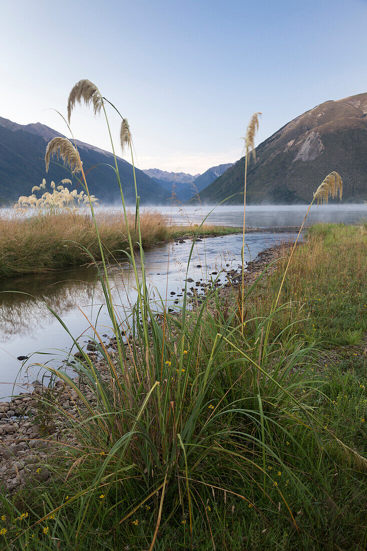 Kerr Bay, Lake Rotoiti, Nelson Lakes National Park, South Island, New Zealand, Oceania