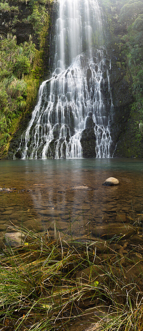 Karekare, Waitakere Ranges Regional Park, Auckland, Nordinsel, Neuseeland, Ozeanien