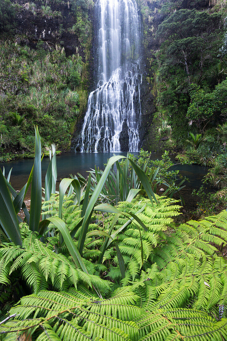 Karekare, Waitakere Ranges Regional … – Bild kaufen – 71140959 Image ...