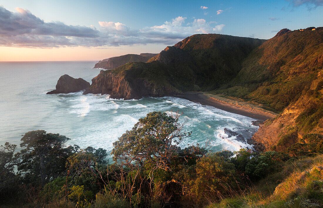 Piha,  Waitakere Ranges Regional Park, Auckland, Tasman Sea, North Island, New Zealand, Oceania