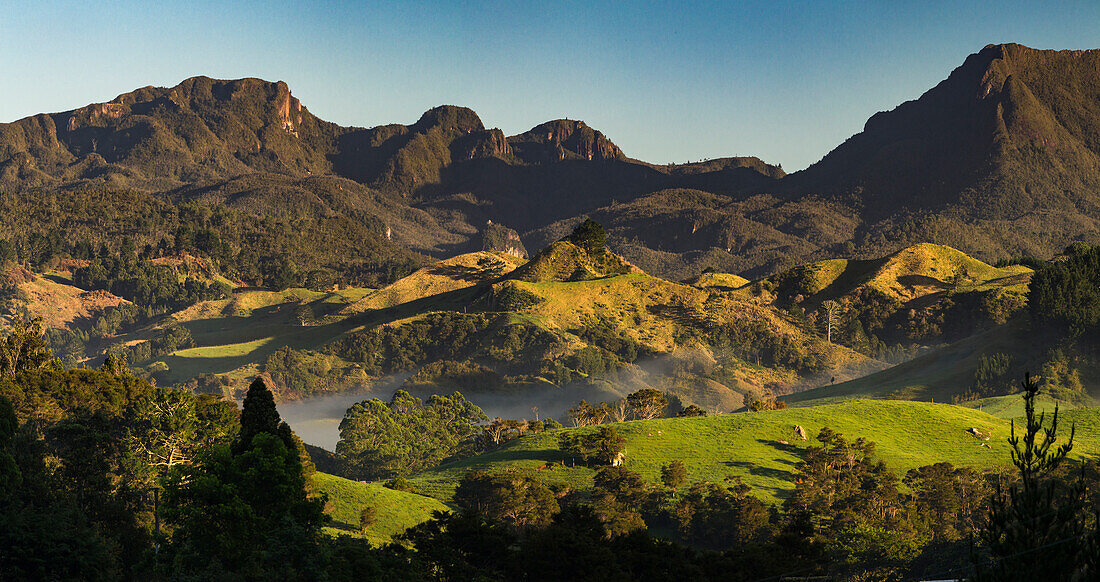 Coromandel Forest Park, Thames-Coromandel District, Coromandel Peninsula, Nordinsel, Neuseeland, Ozeanien