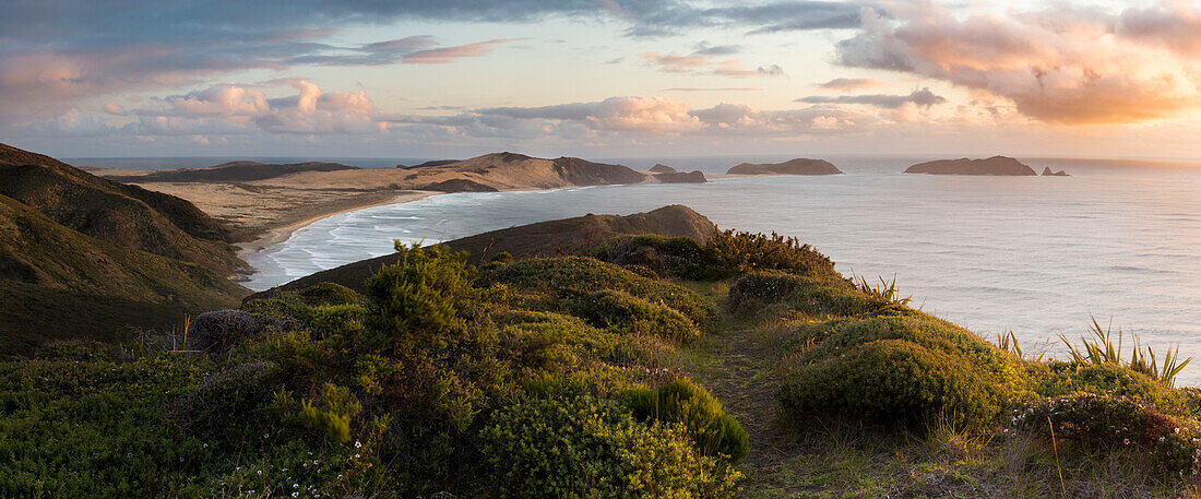 Coastal landscape at Cape Reinga, Aupouri Peninsula, North Island, New Zealand, Oceania