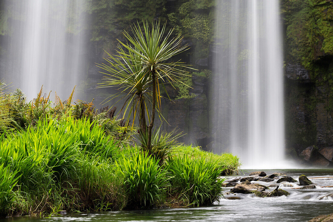Wasserfall bei Whangarei, Nordinsel, Neuseeland, Ozeanien