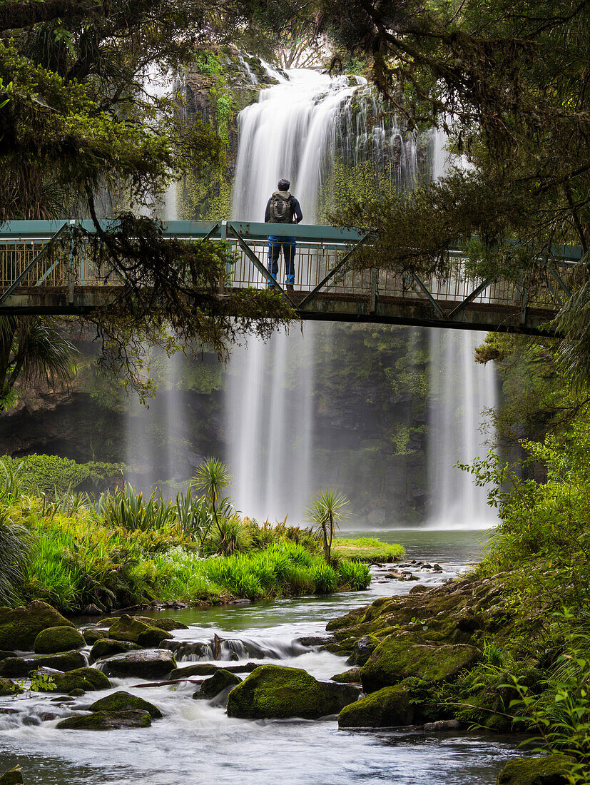 Wasserfall bei whangarei, Nordinsel, Neuseeland, Ozeanien