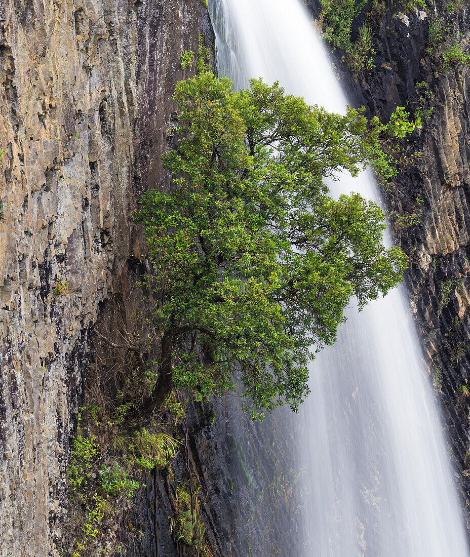 Bridal Veil Falls, Raglan, Waikato, Nordinsel, Neuseeland, Ozeanien