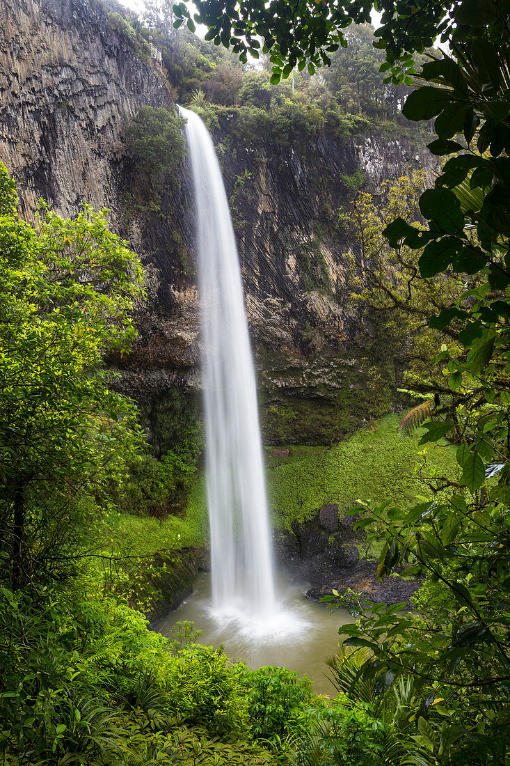 Bridal Veil Falls, Raglan, Waikato, Nordinsel, Neuseeland, Ozeanien