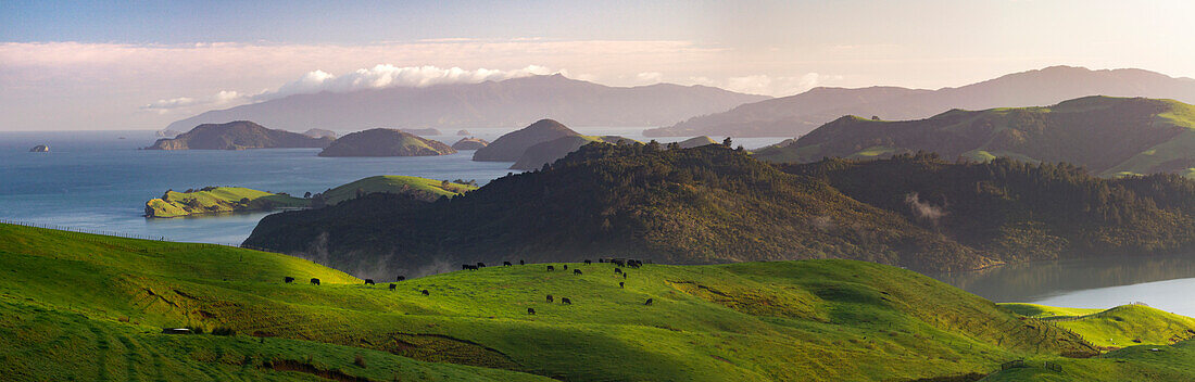 Coromandel, Hauraki Gulf, Thames-Coromandel District, Coromandel Peninsula, North Island, New Zealand, Oceania