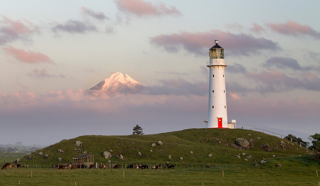 Leuchtturm, Taranaki Vulkan im Hintergrund, Egmont, Egmont-Nationalpark, Nordinsel, Neuseeland, Ozeanien