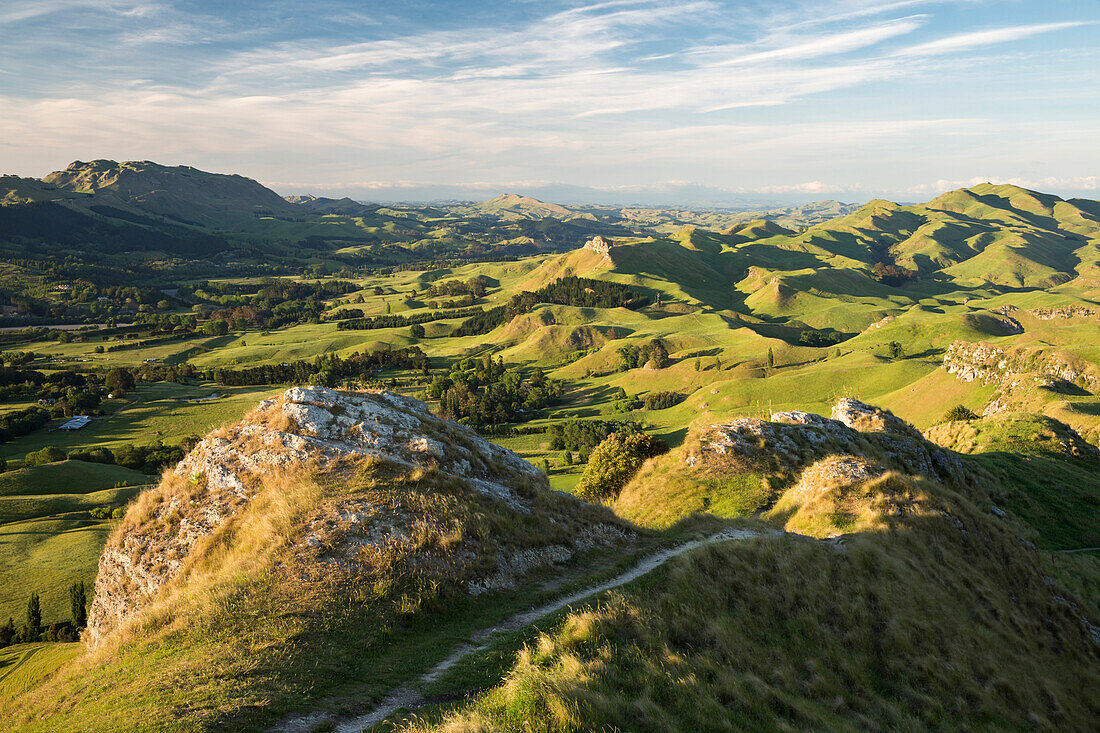 Hastings, Napier, Hawks Bay, North Island, New Zealand, Oceania