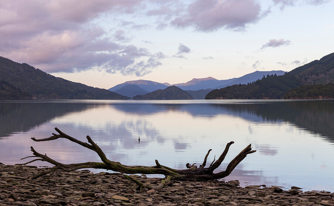 Reflection in the water, Marlborough Sounds, South Island, New Zealand, Oceania