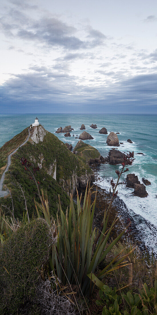 Nugget Point, Catlins, Otago, Südinsel, Neuseeland, Ozeanien