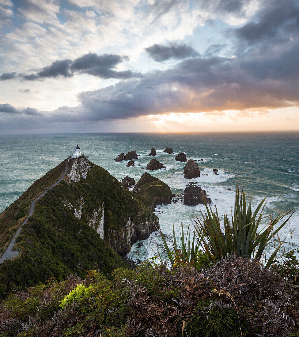 Nugget Point at sunrise, Catlins, Otago, South Island, New Zealand, Oceania