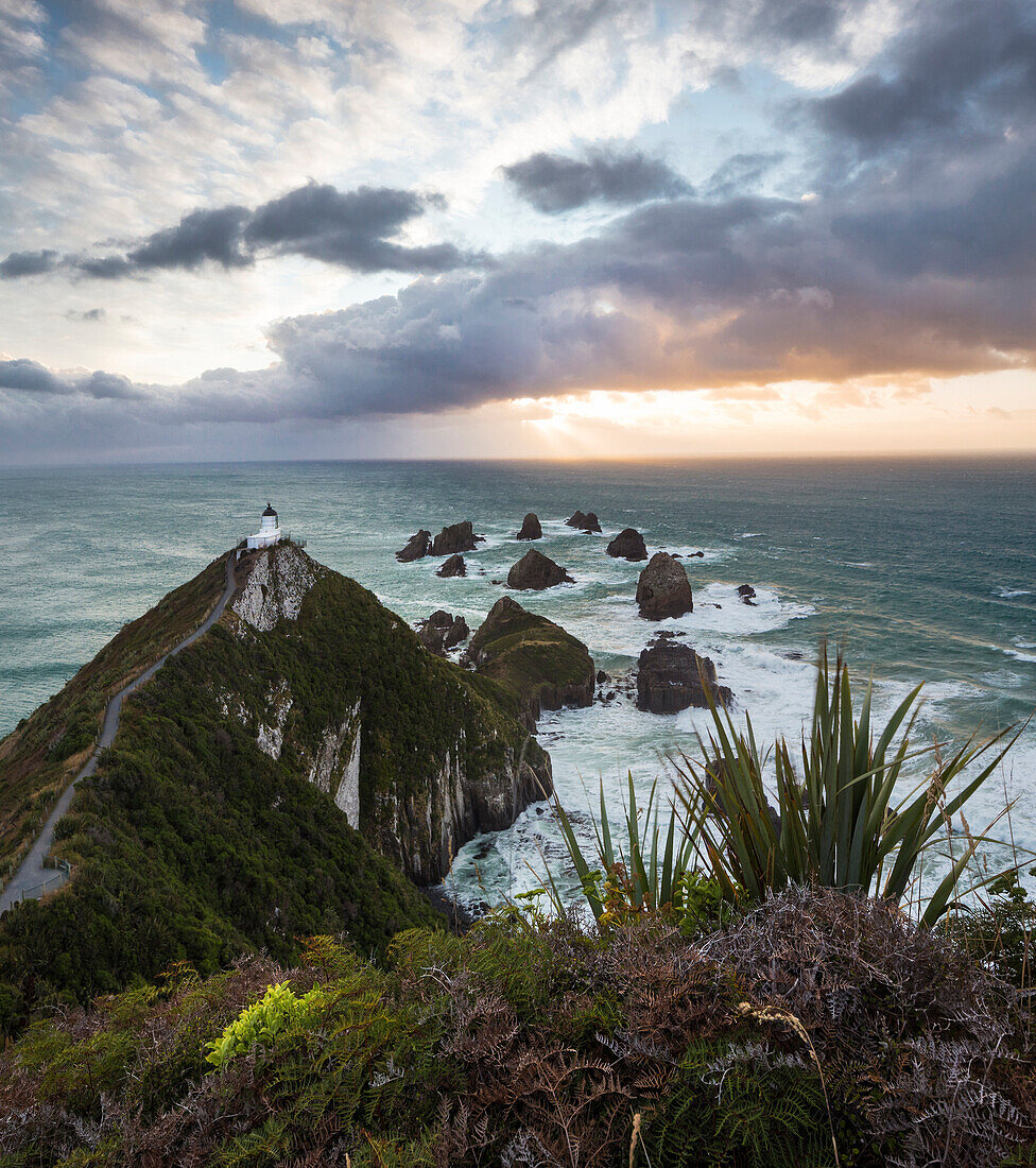 Nugget Point bei Sonnenaufgang, Catlins, Otago, Südinsel, Neuseeland, Ozeanien
