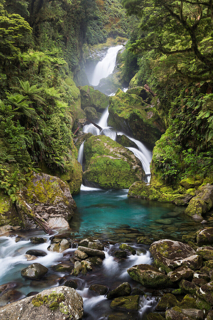 Milford Track, Great Walk, Fjordland National Park, Milford Sound, Southland, South Island, New Zealand, Oceania