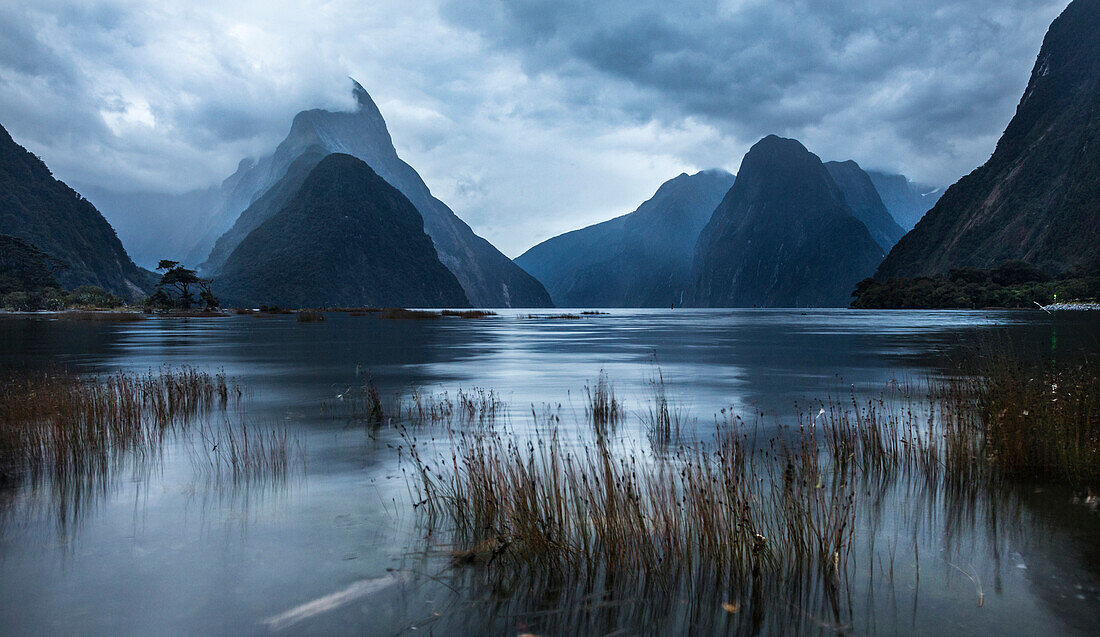 Fjordland National Park, Milford Sound, Southland, South Island, New Zealand, Oceania