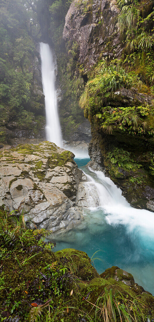 Fjordland National Park, Milford Sound, Southland, South Island, New Zealand, Oceania