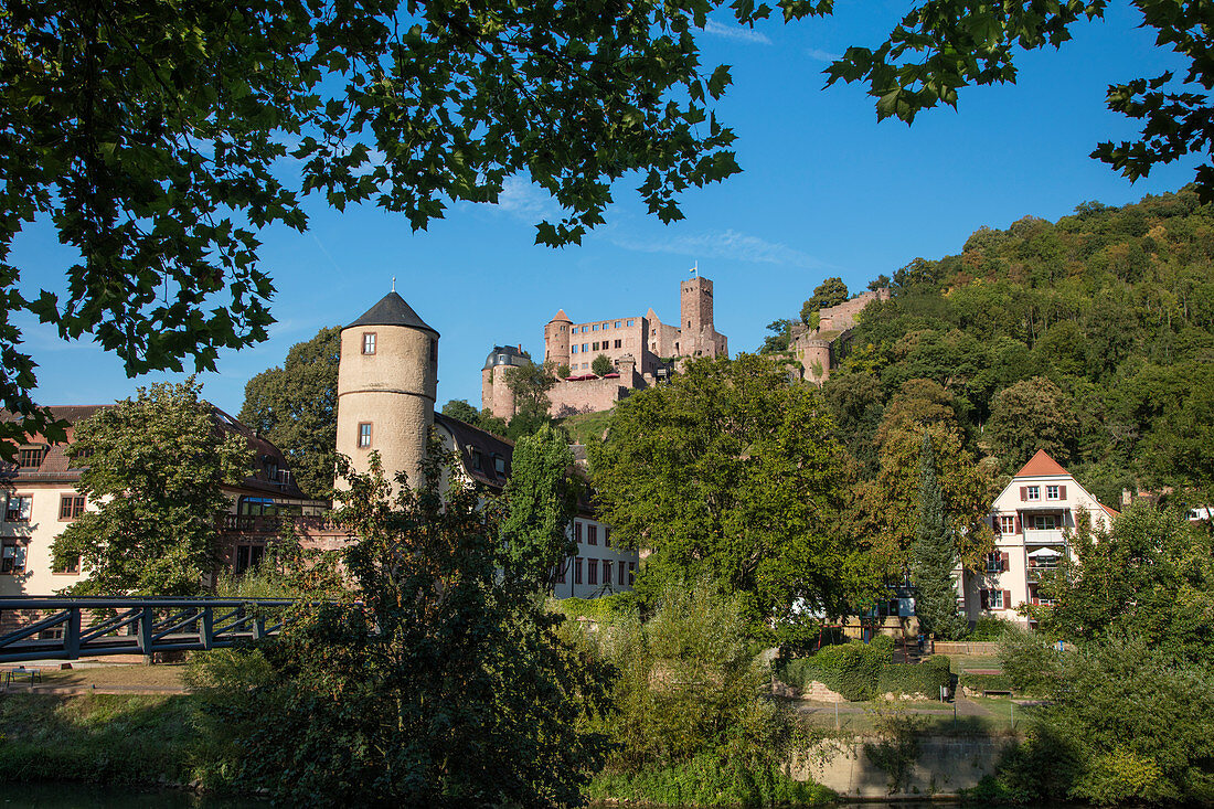 Parklands along Tauber river with view of Burg Wertheim castle, Wertheim, Spessart-Mainland, Franconia, Baden-Wuerttemberg, Germany