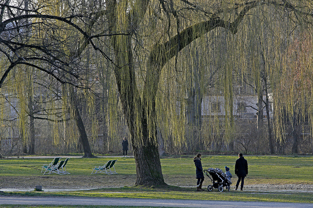 Spring in the English Garden, Englischer Garten, Schwabing, Munich, Upper Bavaria, Bavaria, Germany