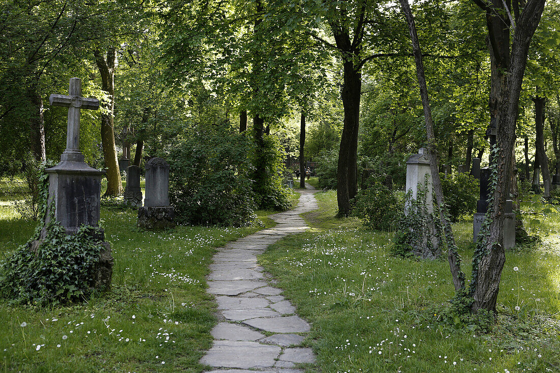 Pfad, Alter Nördlicher Friedhof, Maxvorstadt, München, Oberbayern, Bayern, Deutschland