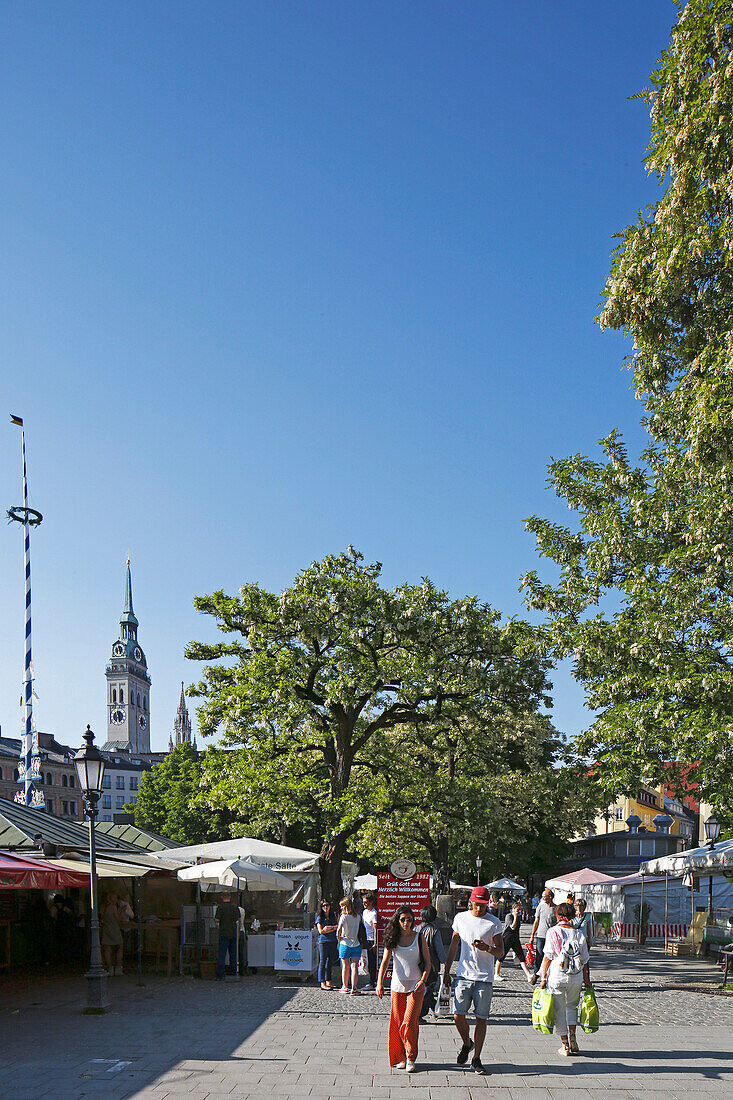 Viktualienmarkt mit Türmen der Peterskirche und des Neuen Rathauses, München, Oberbayern, Bayern, Deutschland
