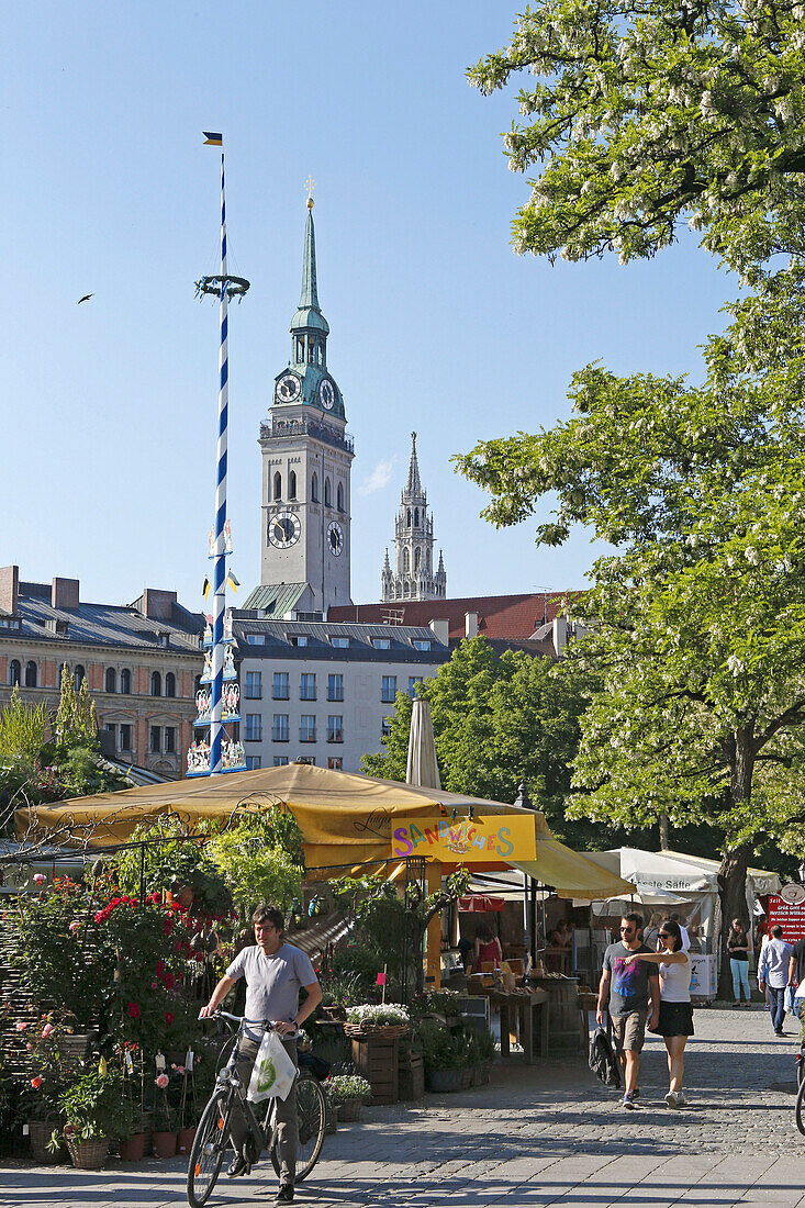 Viktualienmarkt with steeples of St Peter and the New city hall, Munich, Upper Bavaria, Bavaria, Germany