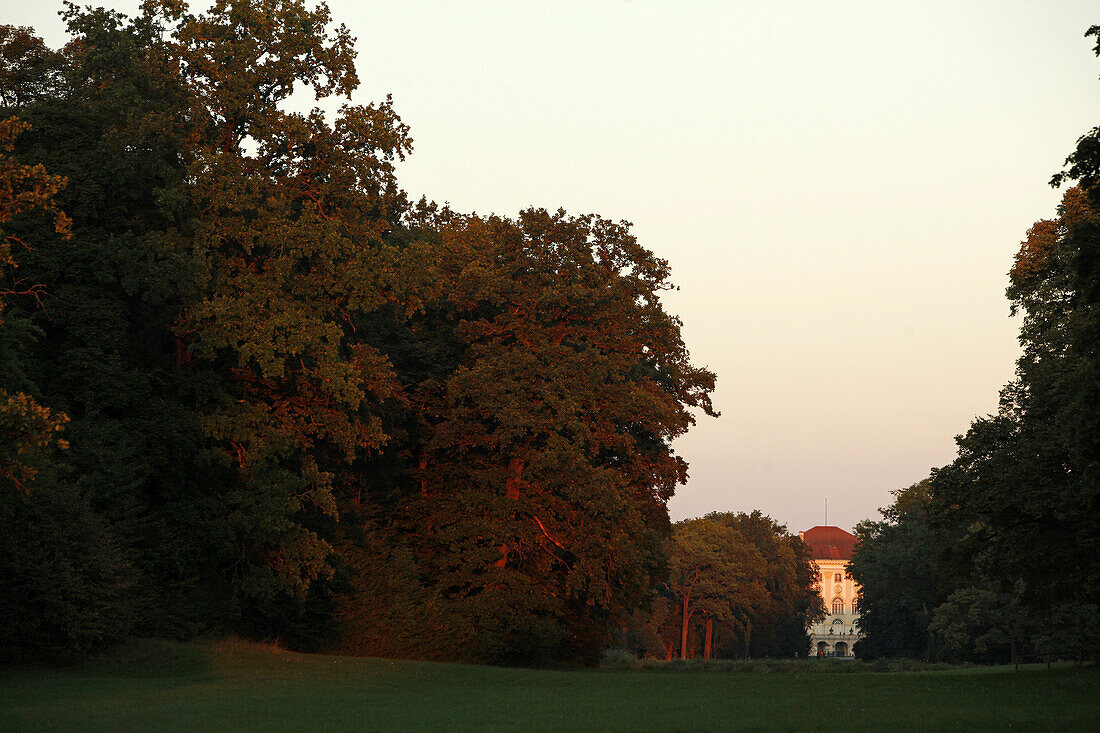 View through groups of trees at the main building of Chateau Nymphenburg, Gern, Munich, Upper Bavaria, Bavaria, Germany