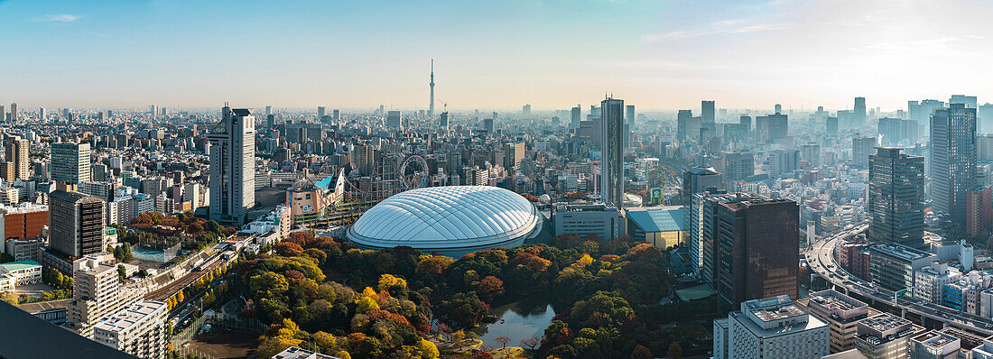 Tokyo Dome, Koishikawa Korakuen und Tokyo Skytree im Herbst mit Morgendunst, Bunkyo-ku, Tokio, Japan