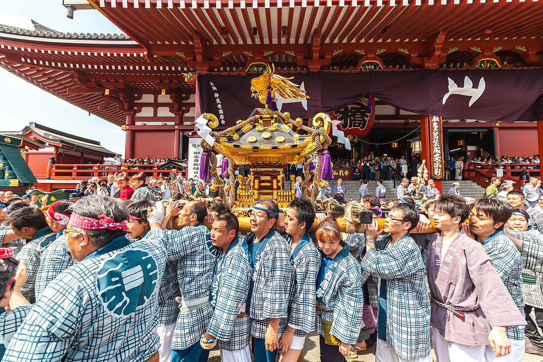 Japanese wearing yukata carrying portable shrine during Sanja Festival in front of Senso-ji Temple, Asakusa, Tokyo, Japan